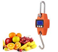 FTVOGUE Balance Suspendue Numérique, Balances De Grue De Pesage Industrielle Balance De Pesage De Grue Electronique 0.5-300kg