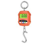 FTVOGUE Balance Suspendue Portable, Mini Balance Numérique avec écran LCD, capacité 300 Kg, for Voyage