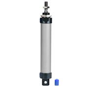 FTVOGUE G1/8 Cylindre Pneumatique, Vérins pneumatiques d'Air en Acier Inoxydable à Double Action Diamètre de 10mm Course de 100mm