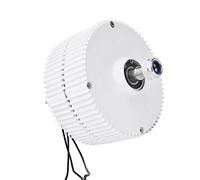 FTVOGUE Générateur à Aimant Permanent 300 W, Alternateur éolien à Haut Rendement avec Sortie 12 V/24 V pour Usage Industriel et Environnement Difficile (Moteur 12V)