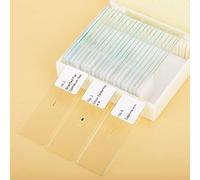 FTVOGUE Lames de Microscope Préparées 25 Pièces Ensemble de Lames d'échantillons de Biologie en Verre avec des échantillons de Laboratoire Teintés à l' de Bois de Cèdre 7,5 X 2,5 Cm pour les