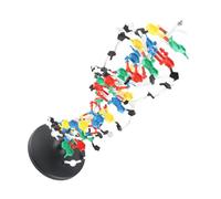 FTVOGUE Modèle de Structure d'ADN, Double Affichage en Plastique avec Majeur et Mineur, Idéal pour l'enseignement de la Biologie et Les Kits d'extraction 'ARN