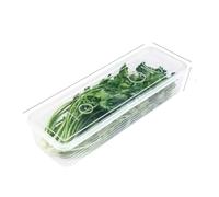 FTYEBDNC Transparent Refrigerator Storage Boxes, Scallions Container with Lid Cold Sealed Kitchen Fruit Fridge Organizer/1Pcs/L29 * W9.5 * H6Cm