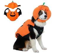 FUAMEY Costume d'Halloween pour chien, citrouille | Taille M | Bandeau réglable, doublure thermique confortable, fête cosplay, adapté pour faire pipi