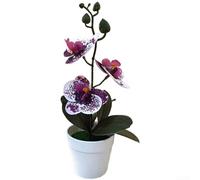 FUANA Bonsaï d'orchidée artificielle pour décoration d'intérieur avec simulation 3D précise pour améliorer l'espace de vie moderne (Dian Zibai)