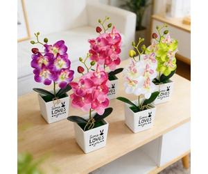 FUANA Lot de 4 fausses orchidées papillon - Nécessite peu d'entretien