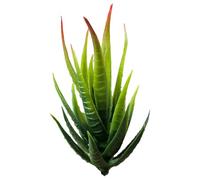 FUANA Plante d'aloe vera artificielle - Décoration d'intérieur - 12 cm - Vert - PE et EVA - Pour mini plante en pot