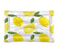 Fuauuyl Lemon Tapis de lit doux pour chien lavable en machine avec fond antidérapant pour chien - 61 x 45,7 cm
