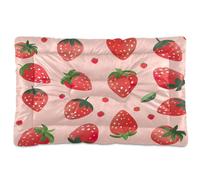 Fuauuyl Tapis de lit doux en forme de fraise pour animal domestique, lavable en machine avec fond antidérapant pour chien, 61 x 45,7 cm
