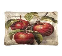 Fuauuyl Tapis de lit doux pour chien avec motif pommes rouges - Lavable en machine avec fond antidérapant - 61 x 45,7 cm