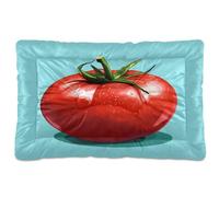 Fuauuyl Tapis de lit doux pour chien - Lavable en machine - Avec fond antidérapant - Rouge - Tomate abstraite - 61 x 45,7 cm