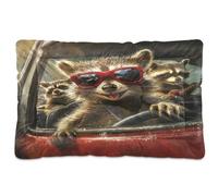 Fuauuyl The Little Raccoon Is Driving - Tapis de lit doux pour chien, lavable en machine avec fond antidérapant pour chien, 91,4 x 61 cm