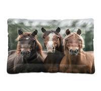 Fuauuyl Thought Horse - Lit doux pour chien - Motif œil rose - Lavable en machine - Avec fond antidérapant - 91,4 x 61 cm