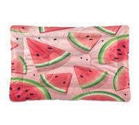 Fuauuyl Watermelon Slice1 - Tapis de lit doux pour chien lavable en machine avec fond antidérapant pour chien - 61 x 45,7 cm