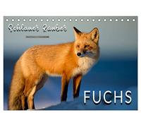 Fuchs - schlauer Räuber (Tischkalender 2026 DIN A5 quer), CALVENDO Monatskalender: Eindrucksvolle Bilder der scheuen Tiere.