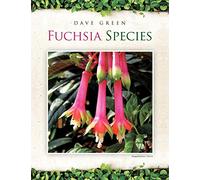 Fuchsia Species