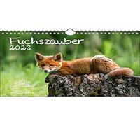 Fuchzauber Seelenzauber Calendrier 2023 Motif renard et renards Format A4 multicolore