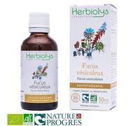 Fucus Bio - Minceur Et Iode Teinture-Mère Fucus Vesiculosus 50 Ml - Herbiolys