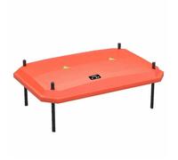 Fudajo Panneau chauffant - 40 x 60 cm - 66 W - pour élevage de 50 poussins au max. - Plaque de chauffage - éleveuse d'oisillons avec