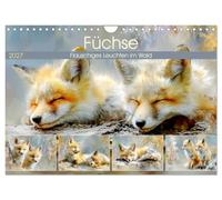 Füchse. Flauschiges Leuchten im Wald (Wandkalender 2027 DIN A4 quer), CALVENDO Monatskalender: Ein malerischer Streifzug durch die Welt der bezaubernden Waldbewohner