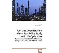 Fuel Gas Cogeneration Plant: Feasibility Study And Life Cycle Cost