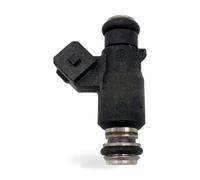 Fuel Injector Suitable for Chery Tiggo 2.0L 4G63 Engine 25335288 25344543
