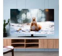 FUELIX Housse De Protection Universelle pour TV 32-80Pouces, Protecteur D'écran TV, Housses De Télévision D'intérieur, Housse Anti-Poussière pour TV LCD LED Plasma Suspendue E,58-60in