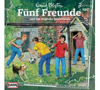 Fünf Freunde - 105/und das Magische Spinnennetz