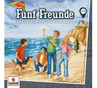 Fünf Freunde - Folge 169: und der Diebstahl im Felsenhaus