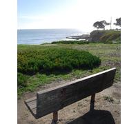 Für eine stille Viertelstunde: Gedankenanstöße für jeden Tag