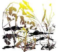 Fuera - Sonega Sonela (Vinile Trasparente)