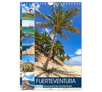 FUERTEVENTURA Bezaubernde Kanareninsel (Wandkalender 2026 DIN A4 hoch), CALVENDO Monatskalender: Vielseitige Landschaftsaufnahmen von der Insel