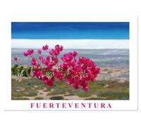 Fuerteventura (Tischkalender 2026 DIN A5 quer), CALVENDO Monatskalender: Die wildeste und unberührteste Insel der Kanaren