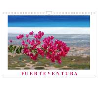 Fuerteventura (Wandkalender 2026 DIN A4 quer), CALVENDO Monatskalender: Die wildeste und unberührteste Insel der Kanaren