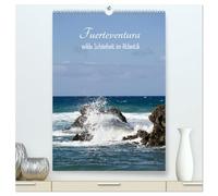 Fuerteventura, wilde Schönheit im Atlantik (hochwertiger Premium Wandkalender 2026 DIN A2 hoch), Kunstdruck in Hochglanz: Bunte Bilder der rauen und schönen Insel Fuerteventura