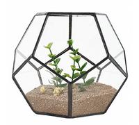 Fuhjythy Verre Noir Pentagone geometrique Terrarium Recipient Fenetre Seuil Decor Pot de Fleur Balcon planteur De Bricolage Boite d'affichage (Plante)