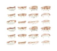 FUIPVGI 24 Blague Dents de démon d’Halloween Dents drôles de Billy Bob, Fausses Dents, Dents de Vampire d’Halloween, fêtes en Costume, bourdons, Objets de scène (24 pièces)