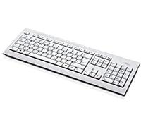 Fujitsu Keyboard (US) KB521, Full-Size (100%), 38039156 (KB521, Full-Size (100%), Wired, USB, Grey)