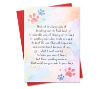 Fukaisu Carte de Condoléances pour Perte d'Un Chien ou d'Un Chat, Carte Condoléances Rainbow Bridge avec Enveloppe pour Familles Amis Propriétaires d'Animaux en Deuil Cadeaux Commémoratifs