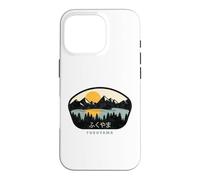 Fukuyama Japon Coque pour iPhone 16 Pro