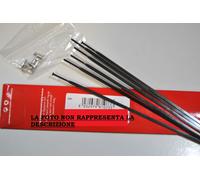 Rayon Fulcrum Racing 1 Arrière SX Argent/ Rear Left