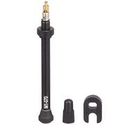 Fulcrum Unisexe - Adulte Valve Tubeless 07471683 Valve Tubeless Noir/Argent 70 mm