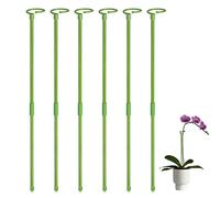 Fulenyi Monstera 6 Tuteurs pour Plantes d'intérieur - 80 cm - Support Rond pour Plantes Hautes et Fleurs - Tuteurs pour orchidées, Amaryllis, pivoines, poivrons, etc