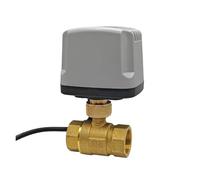 Full Bore Motorized Ball Valve Brass IP65 Waterproof DN15 DN20 DN25 Female Thread 3-Wire or 2 wire AC/DC 12V 24V AC110V 220V(CR04,DN15_AC110V)