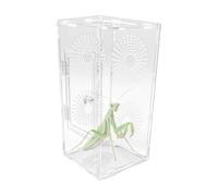 Full Transparency Spider Habitat Tank with Ventilation Jumping Spider