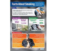 Fumer | Affiches PSHE | Papier brillant mesurant 850 mm x 594 mm (A1) | Affiches de salle de classe PSE | Tableaux éducatifs par Daydream Education