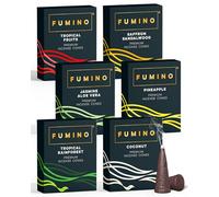 Fumino Encens Cone Naturels Faits Maison Lot d’Encens Goûts Tropicaux de 6 boîtes 90 cônes (90g) Masala Agarbatti Joss pour la Relaxation et la méditation, décoration intérieure - Enscens - Encensoir