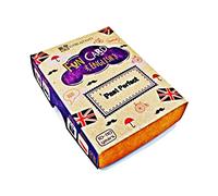 Fun Card English PAST PERFECT (Grammar and Vocabulary Flashcards + Exciting Game)