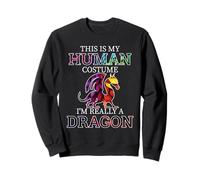 Fun Dragons Humour This is My Human Costume Halloween Dragon Sweatshirt