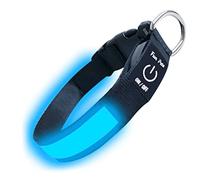 Fun Pets Collier pour Chiens LED Bleu - Rechargeable par USB - Grande Visibilité et Sécurité Améliorée - Très Petit, Petit, Moyen, Large & Très Large